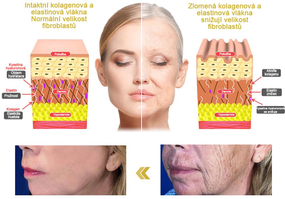 Vítěz ceny 2024 Readers' Choice 🏆 𝐌𝐨𝐨𝐧𝐝𝐚𝐫™ Zpevňující a regenerační krém: Obnovení elasticity pokožky