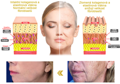 Vítěz ceny 2024 Readers' Choice 🏆 𝐌𝐨𝐨𝐧𝐝𝐚𝐫™ Zpevňující a regenerační krém: Obnovení elasticity pokožky