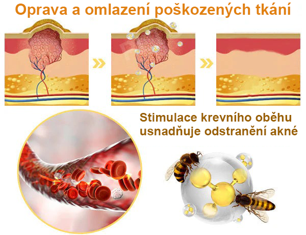 Platba při převzetí 💰 PLTOWE® Krém s včelím jedem na bradavice a znaménka 🐝 (👨‍⚕Doporučeno dermatology AAD) 🔥 Poslední den akce – sleva 70%!